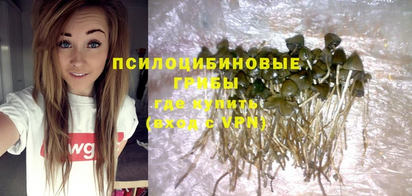 спиды Заволжье