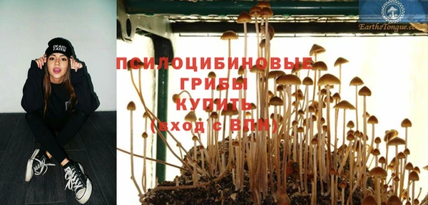 спиды Заволжье